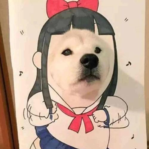 采艾