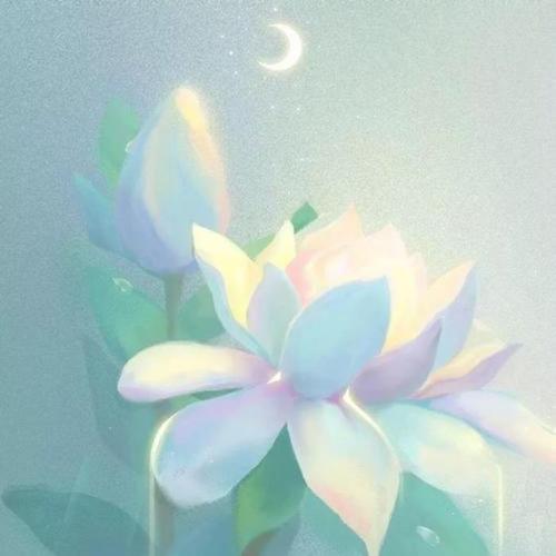枕星河