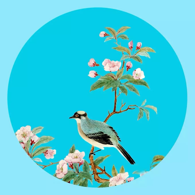若木