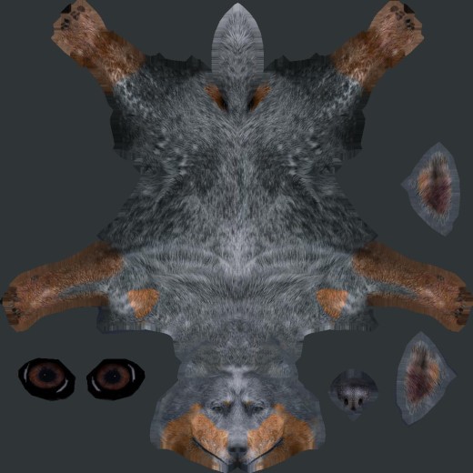 牧牛犬缩略图
