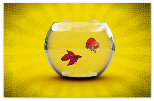 水族馆缩略图