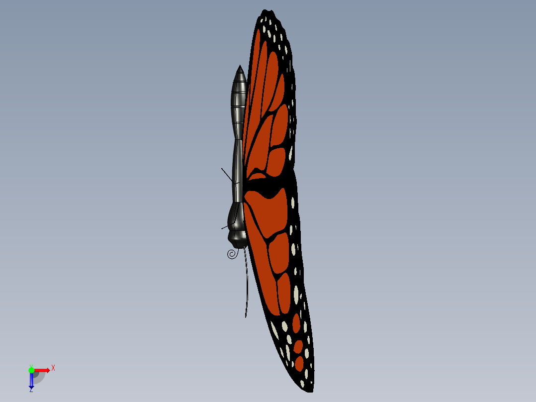 蝴蝶蝴蝶Catia IGES俯视图