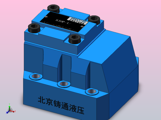 S30P 单向阀