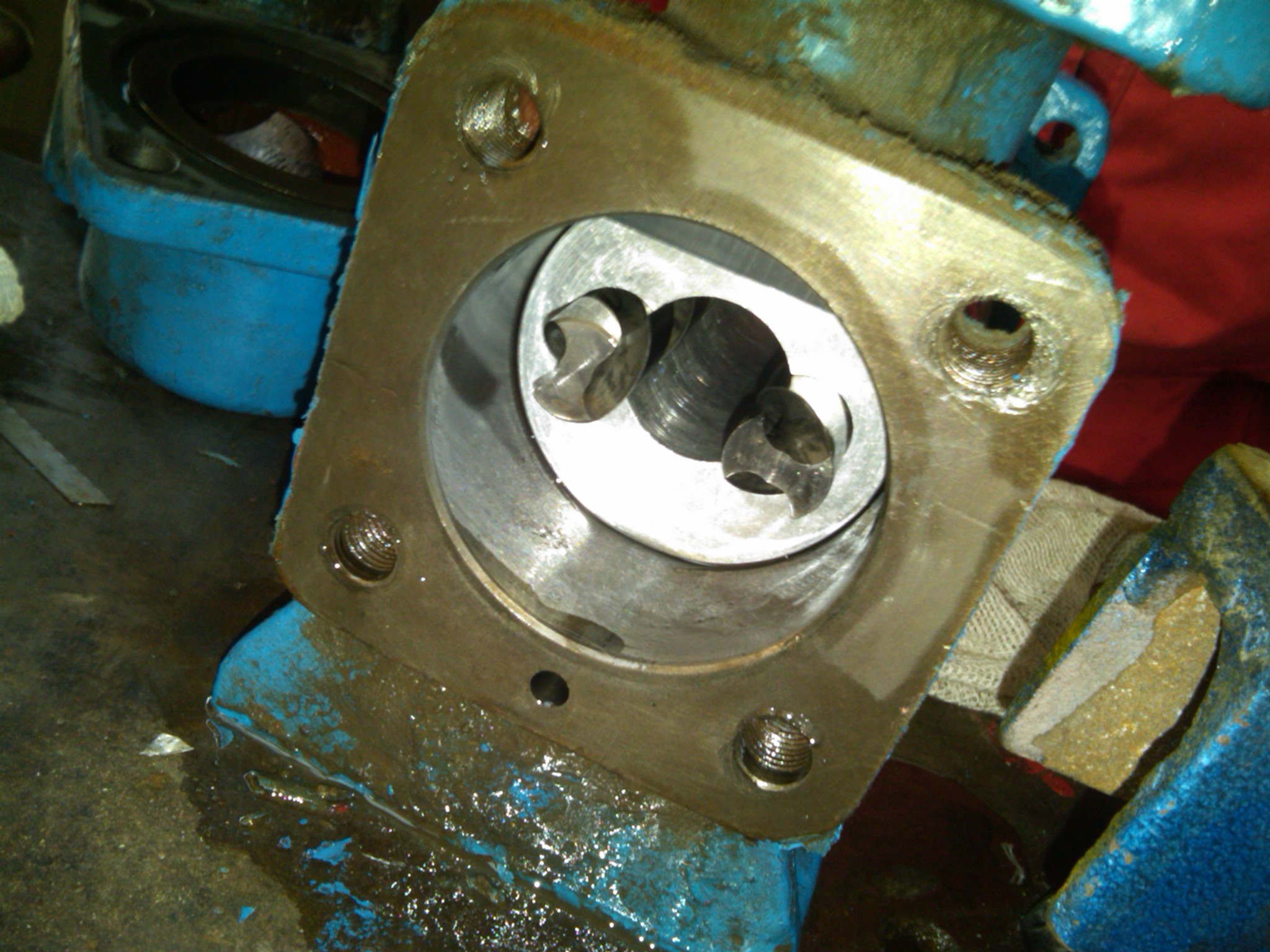 清晰结构的三螺杆泵