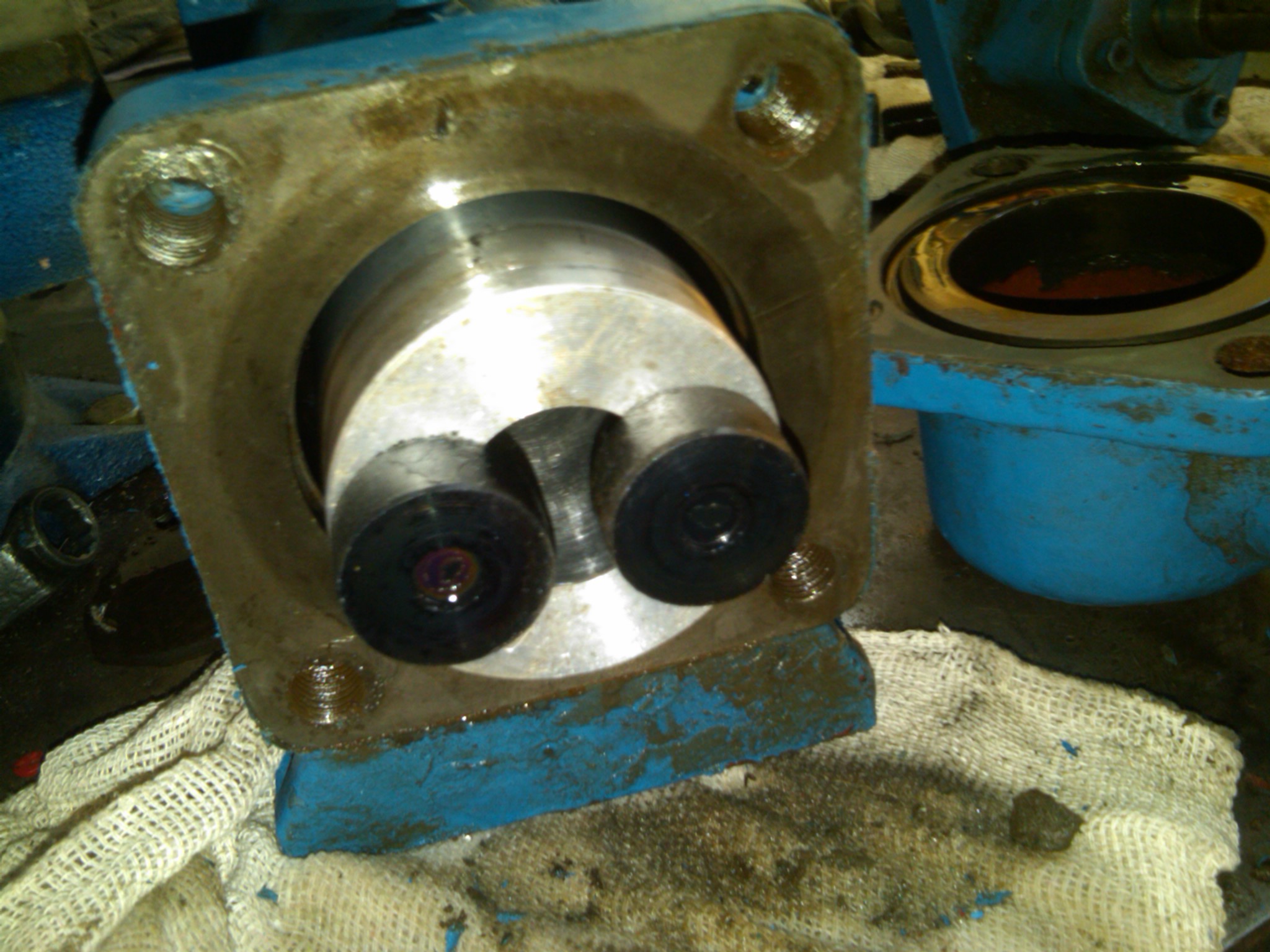 清晰结构的三螺杆泵