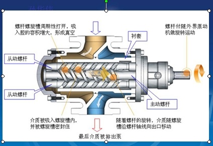 清晰结构的三螺杆泵缩略图