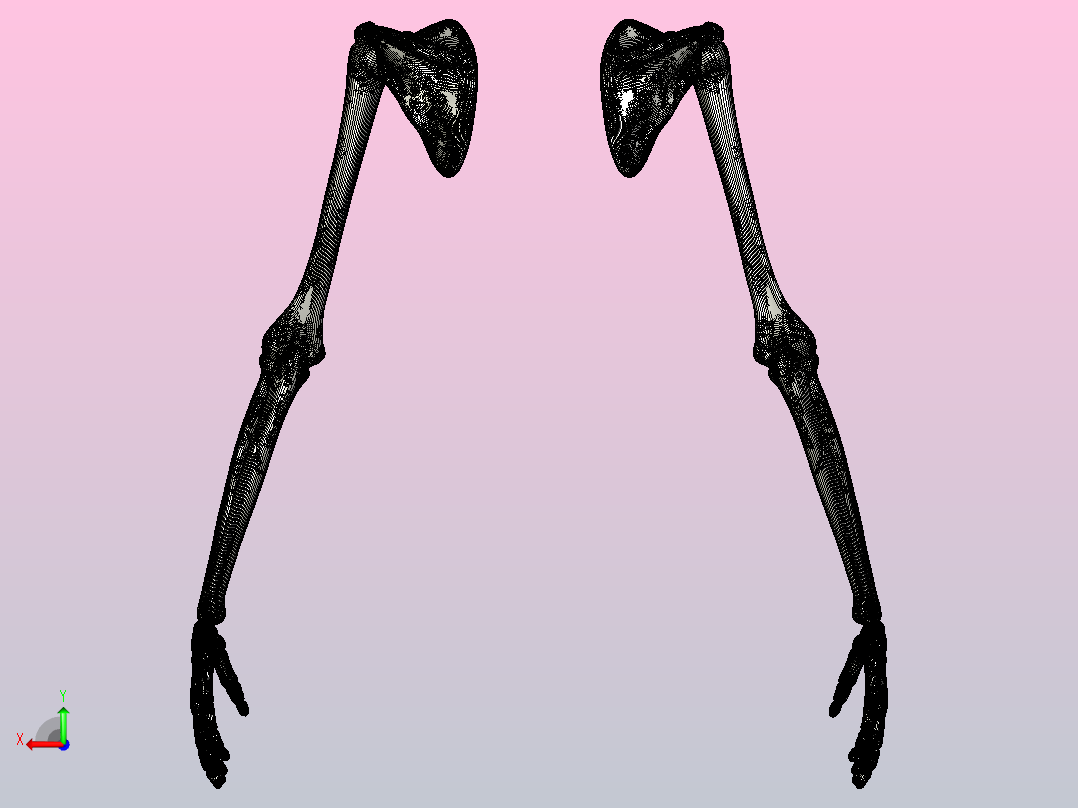 人体手臂后视图
