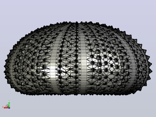 海洋生物鱼类urchin shell后视缩略图