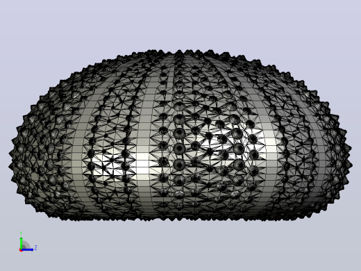 海洋生物鱼类urchin shell左视缩略图