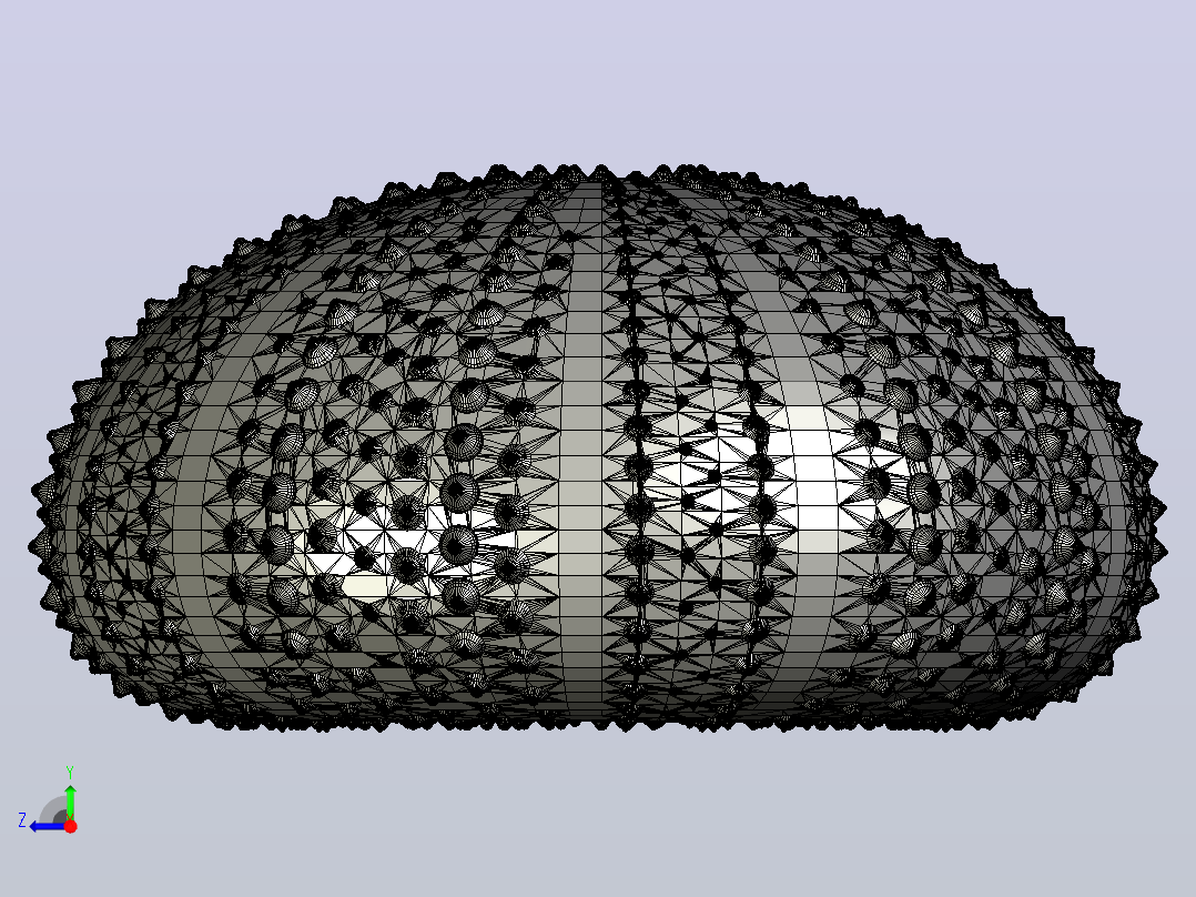 海洋生物鱼类urchin shell右视图