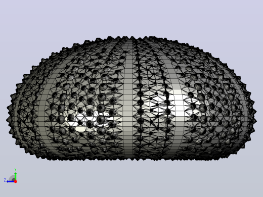 海洋生物鱼类urchin shell右视缩略图
