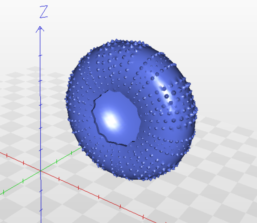 海洋生物鱼类urchin shell