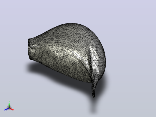 1_023Garlic_03_4K水果蔬菜面包坚果