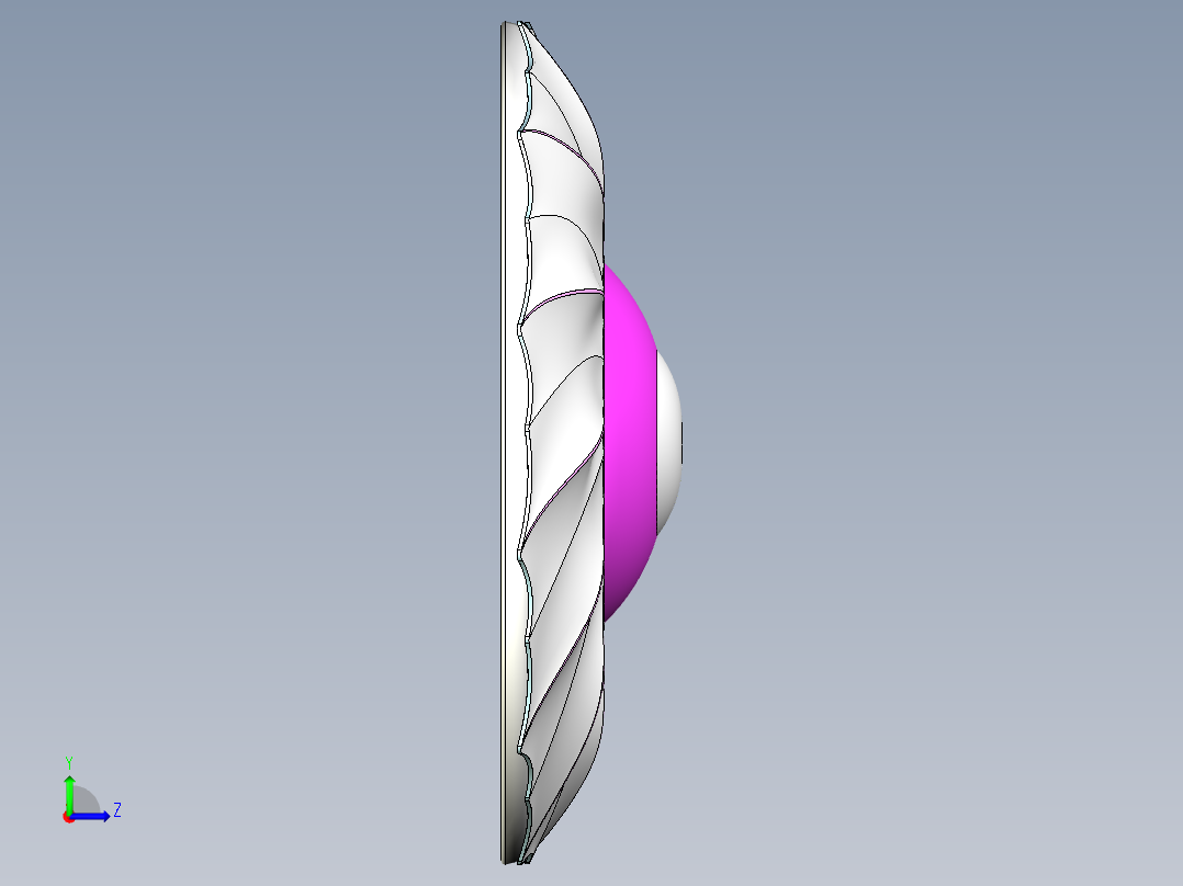 贝壳面飞碟左视图