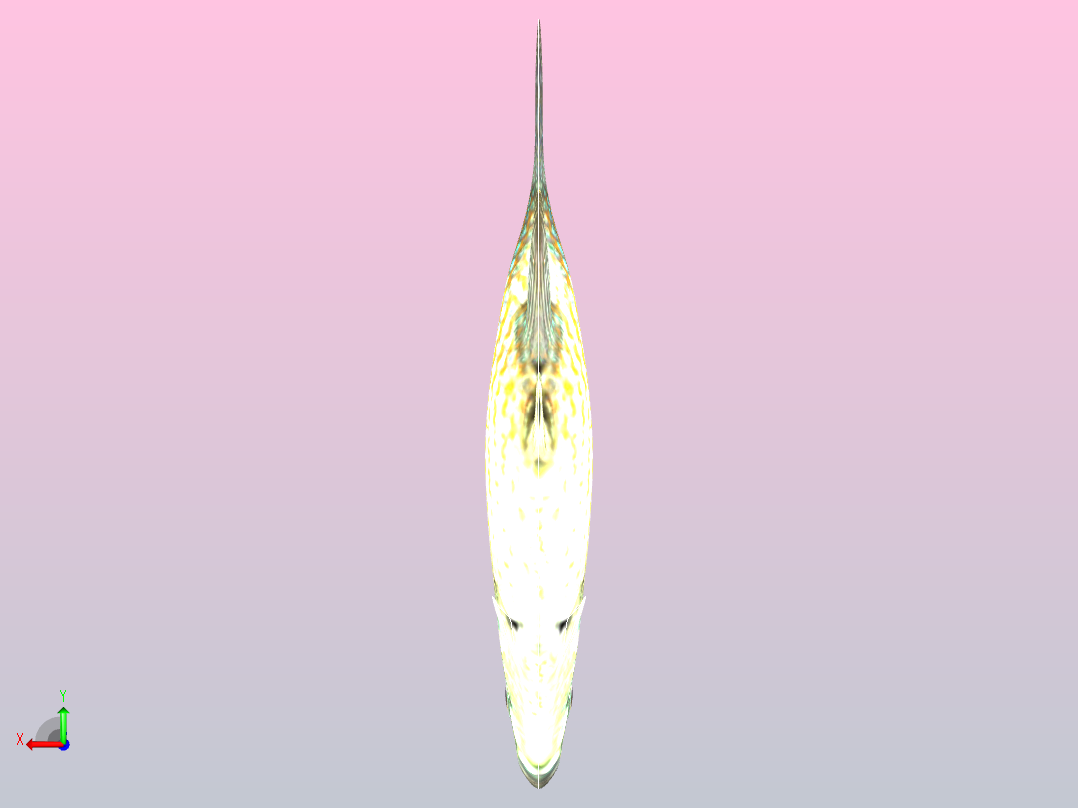 美国旗鱼后视图