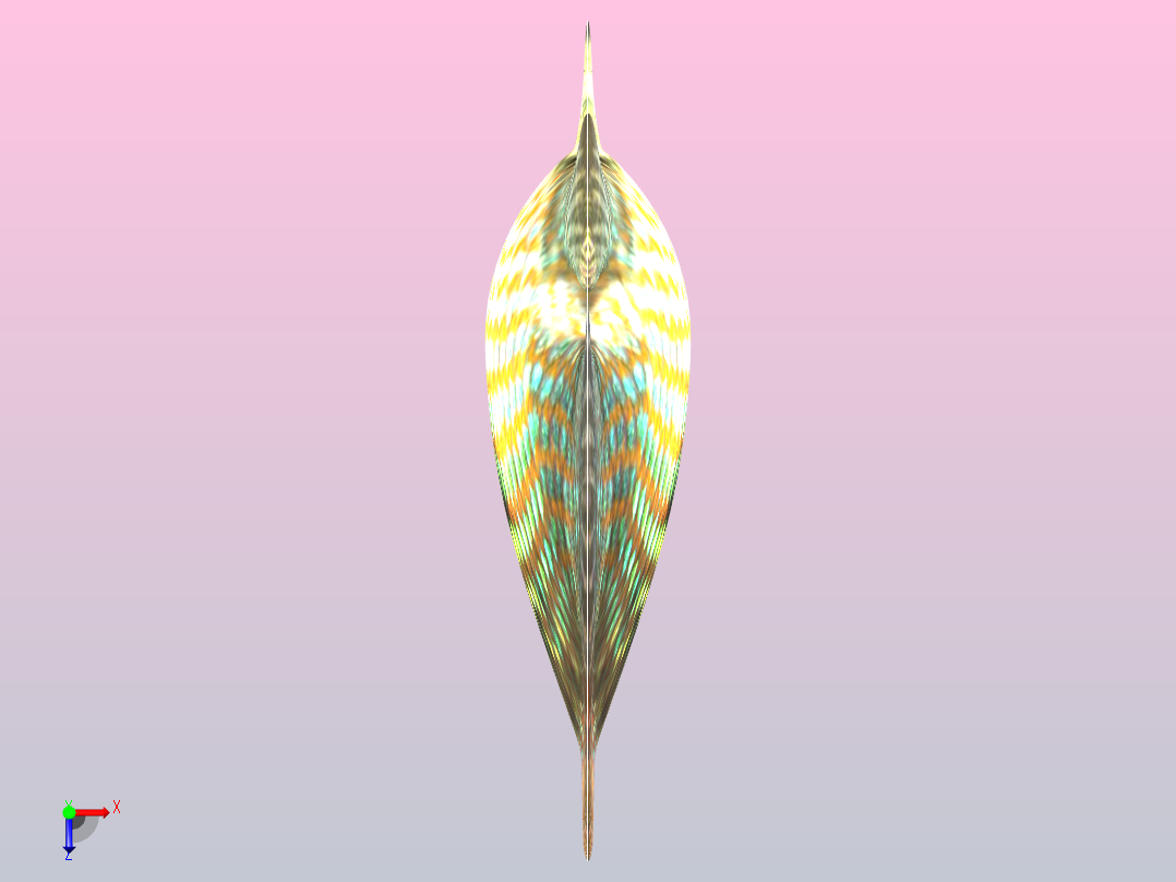 美国旗鱼俯视图