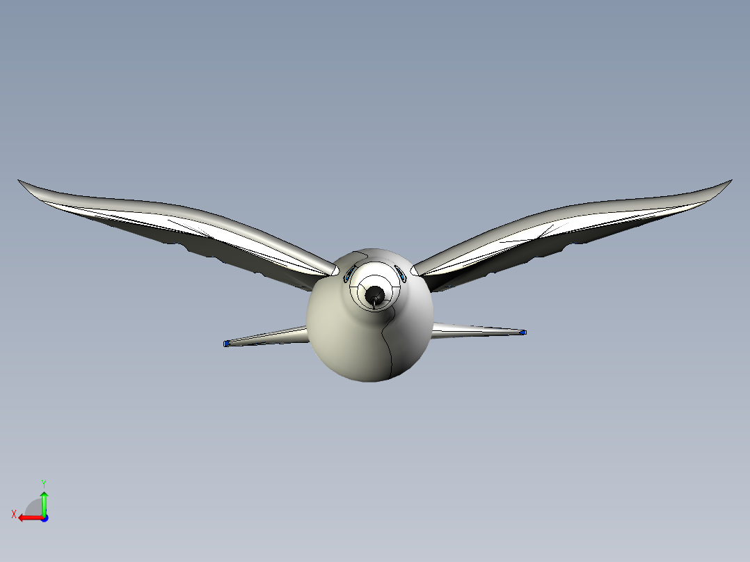 鸽子三维模型后视图