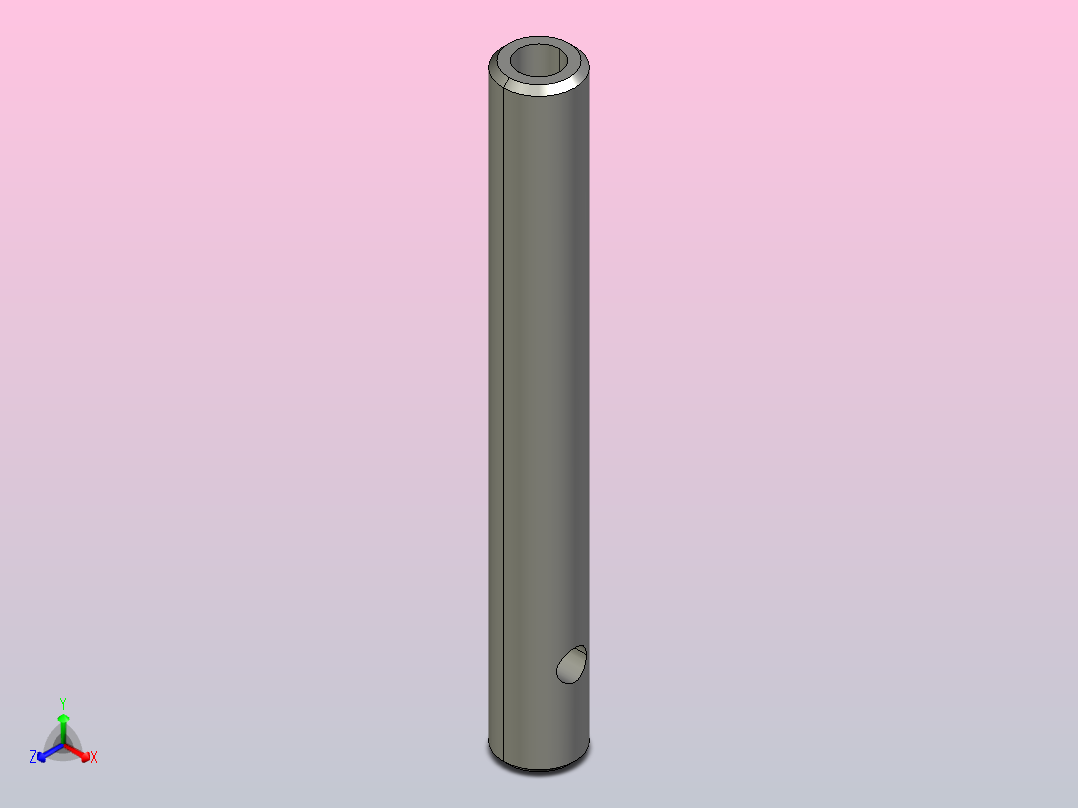 N-PIN-12-L100-C1调节圆棒正等轴测图