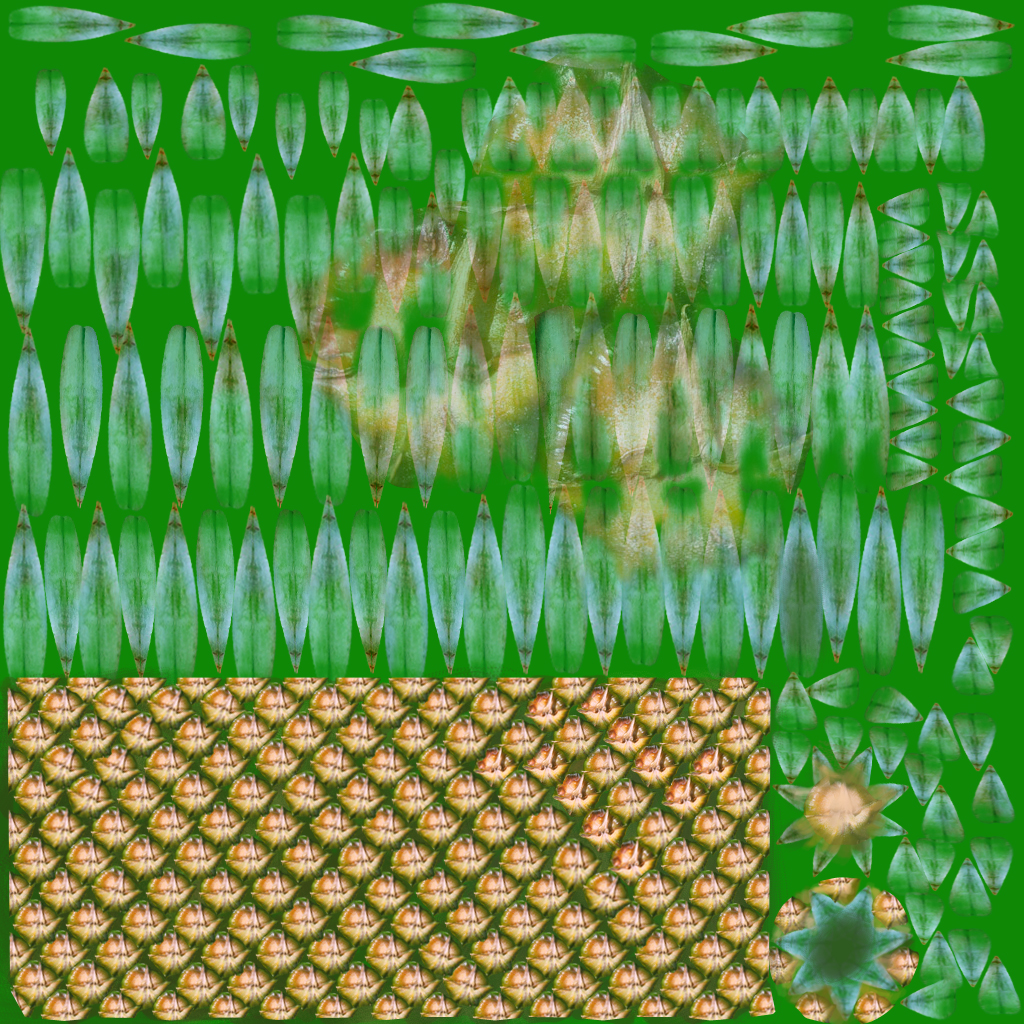 菠萝