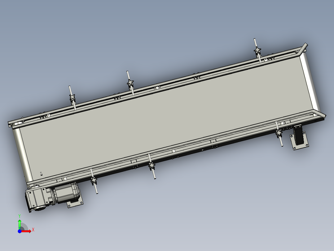 AAXX标准平皮带前视图