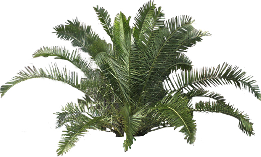 CAD练习学习图纸新手图库机械建筑电气设计基础dwg素材