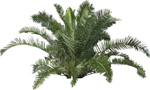 CAD练习学习图纸新手图库机械建筑电气设计基础dwg素材缩略图