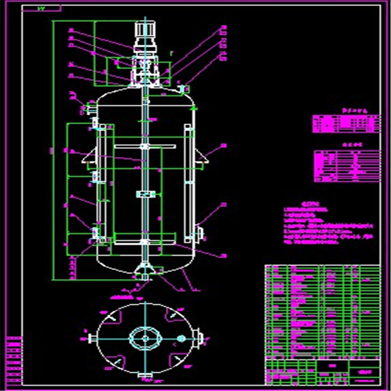 100TPD反应釜CAD2D图 机械设计参考资料设计素材