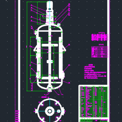 100TPD反应釜CAD2D图 机械设计参考资料设计素材