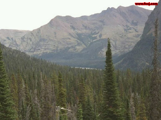 黑鹰直升机缩略图