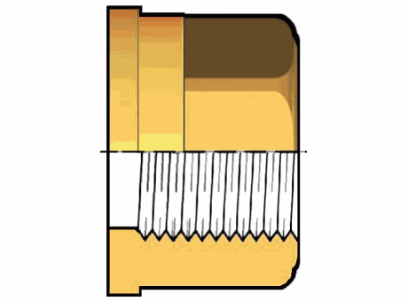 14QBFO 在女性的螺纹黄铜联盟结束缩略图