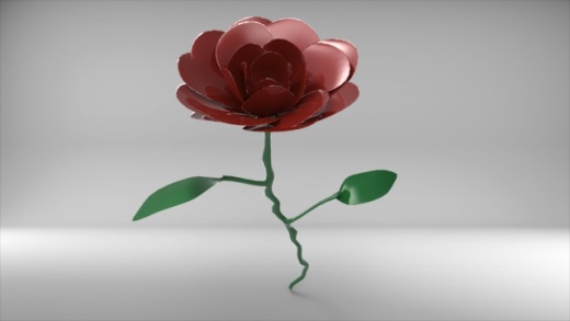 花缩略图