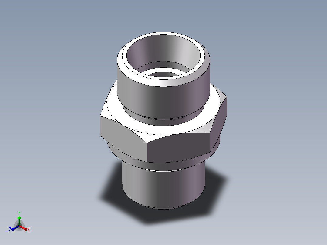 公制螺纹ED密封、1CM-18-16WD正等轴测图
