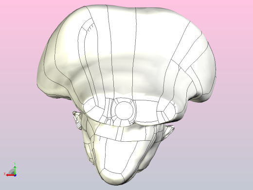 金刚模型后视缩略图