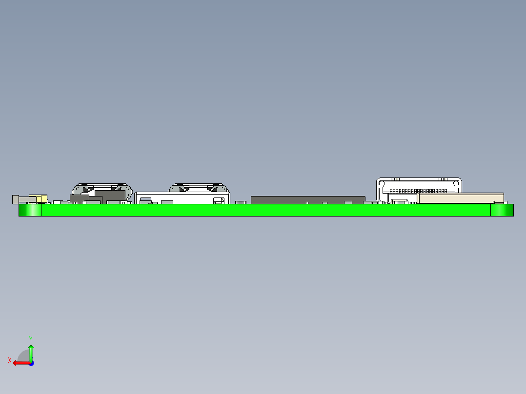 小型四足动物后视图