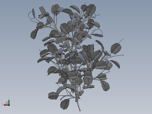 植物(58)后视缩略图