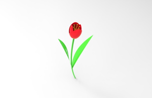 鲜花缩略图