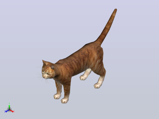 猫咪