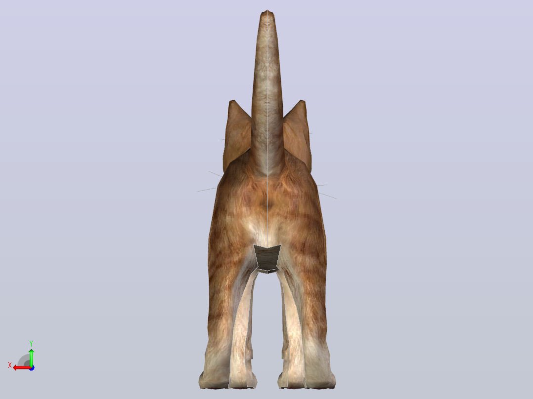 猫咪后视图