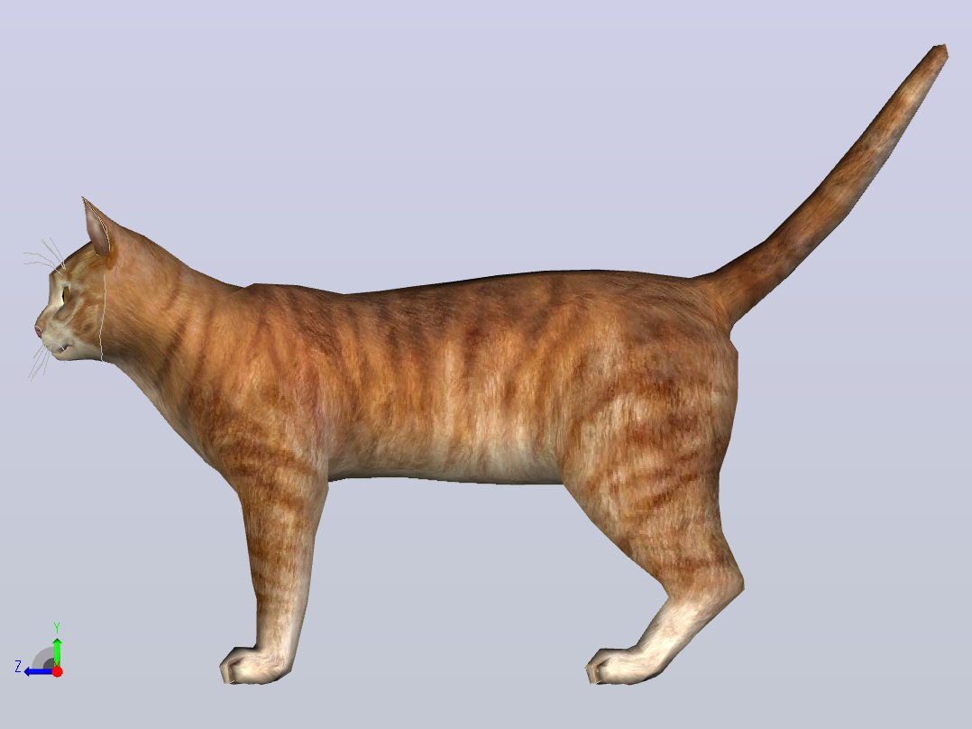 猫咪右视图