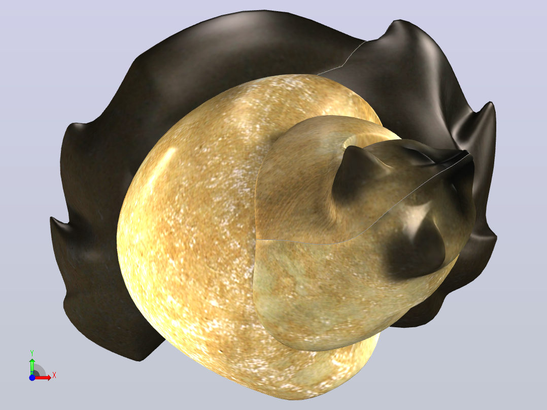 家猫前视图