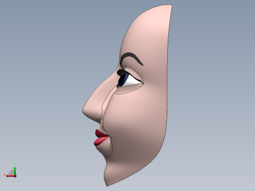 solidworks人脸模型后视缩略图