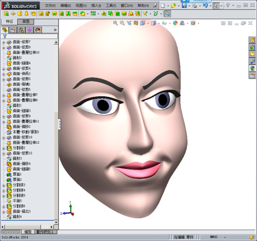 solidworks人脸模型缩略图