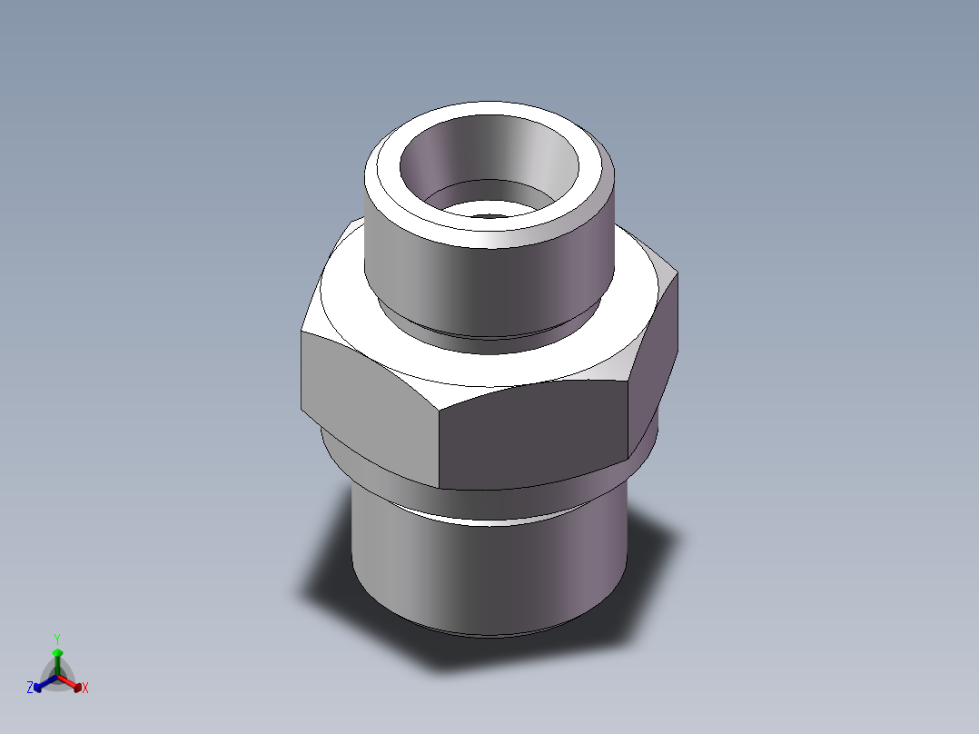 公制螺纹ED密封、1DM-20-22WD非标正等轴测图
