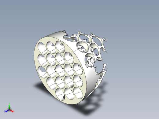 生命之花
