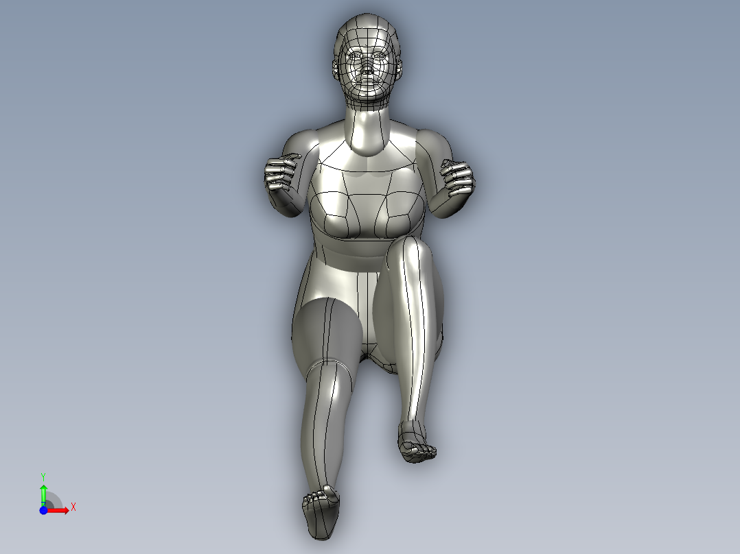 人体模型(137)前视图