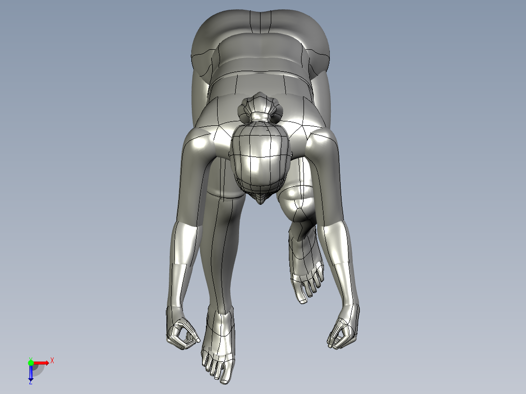 人体模型(137)俯视图