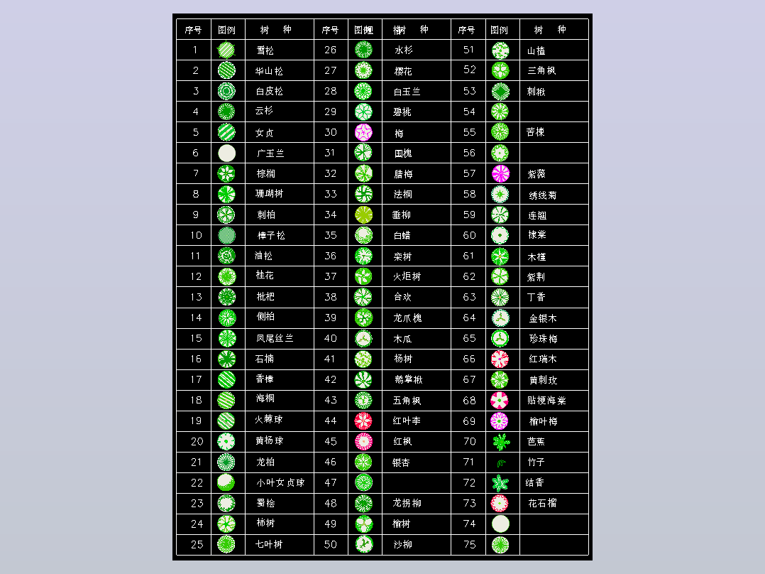 景观树图库（2）