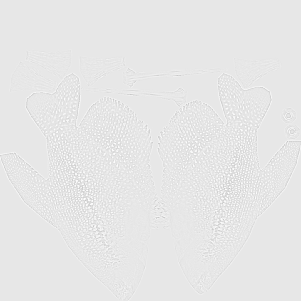 珍珠古拉米鱼