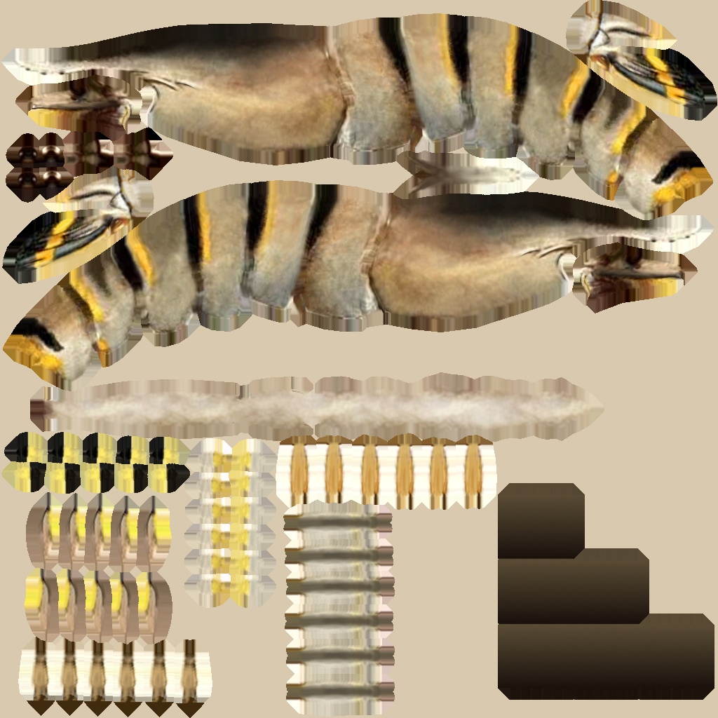 虾