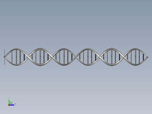 DNA基因染色体12左视缩略图
